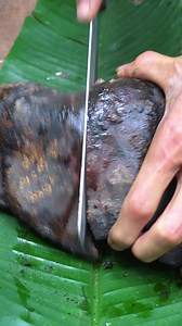 3.2M views · 38K reactions | Món gan nướng bóng đêm khi đi tìm thảo dược cuối năm #chuhungthaoduoc#thuocnam | Chú Hùng Thảo Dược | Facebook