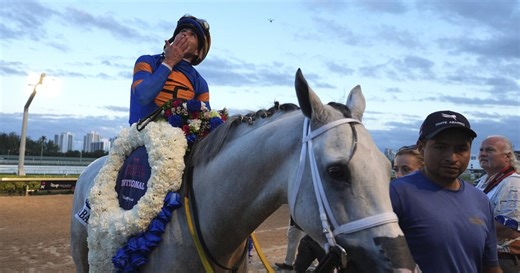 2025 Pegasus World Cup Turf Invitational (FULL RACE) | NBC Sports