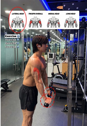 🔽삼두운동(Triceps Workout) 그립에 따른 자극 차이 4가지🔽 🔸4 Triceps Grip Variations – Rope, Standard, Reverse & Extension Guide🔥 1. 로프 프레스다운 (Rope Pressdown) - 외측두(Lateral Head)와 삼두 전체(Triceps Overall)가 강하게 수축되어 팔 뒤 바깥 라인과 분리도를 만드는 데 효과적입니다. 2. 기본 프레스다운 (Standard Pressdown) - 삼두 전체(Triceps Overall)를 가장 균형 있게 자극할 수 있어 기본적인 삼두 발달과 수축 감각을 만들기에 좋은 운동입니다. 3. 리버스 그립 프레스다운 (Reverse-Grip Pressdown) - 내측두(Medial Head) 자극이 더 강조되어 팔 안쪽 라인과 두께를 만드는 데 도움이 됩니다. 4. 스탠딩 라잉 트라이셉스 익스텐션 (Standing Lying Triceps Extension) - 장두