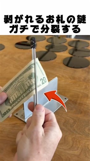 財布の20ドル札が分裂する怪💸