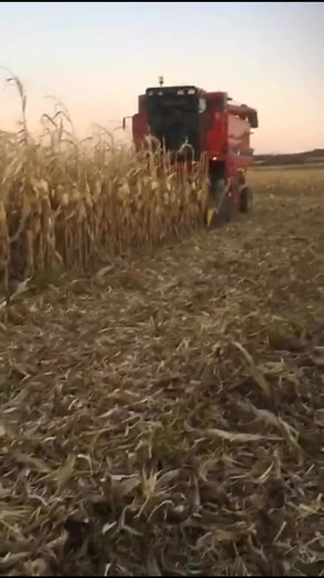 2.2K views · 86 reactions | Mircea Badiu on Reels | Facebook