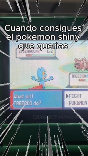Por fin obtuve mi Pokemon shiny treecko! ¿Cual fue tu primer shiny? #shinypokemon #nintendo #Pokemon