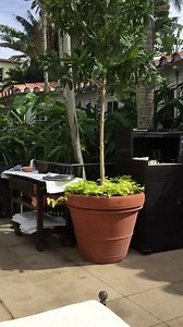 33K views · 73 shares | Robert Duvall on Reels | Facebook