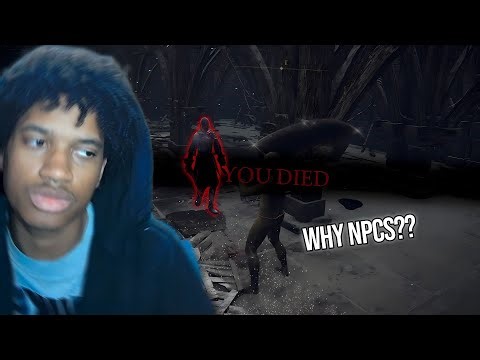 NPCs Ambushed Me During My Best Randomizer Run