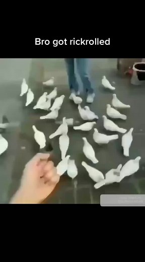 low quality vids on TikTok