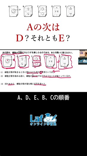9割がEと答える？ #中3理科 #体細胞分裂