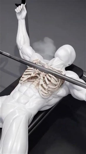 ❌ Wrong vs Right - Bench Press Mistake That Can Injure You #fitness #benchpress #fitnesstips