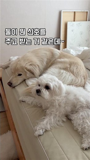말랑이가 먼저 신호 보내고 입맛 다시는 거 같은데요~🤣🤣