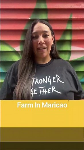 What Is Specialty Coffee? (Where Real Puerto Rican Coffee Comes From)