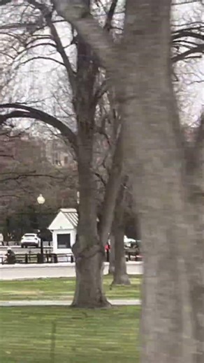 Multiple DC PD units responding #police #subscribe #likeandsubscribe #shorts #emergency #subscribers