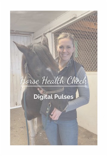 Recognizing Horse Digital Pulse for Better Health