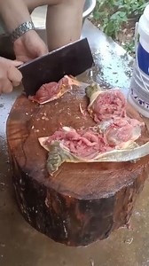 Clean the soft shelled turtle Clean soft shelled turtle meat Clean turtle meat cut into pieces