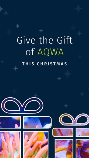 Give the gift of an AQWA experience this festive season 🐠🎄 Surprise those wonder-seeking, thrill-chasing and nature loving people in your life with an AQWA Gift Voucher! Whether it's a thrilling swim with the sharks; a family day out; unlimited visits for an entire YEAR; or even a peek behind the scenes and below the surface, there's an AQWA gift voucher for everyone. 🤿 Snorkel with sharks 🦈 Dive with sharks 🐙 Behind the scenes pass 🐟 much more! Alternatively, give the gift that keeps on g