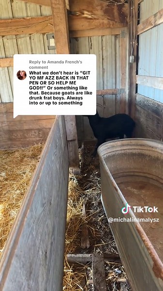 Replying to @Amanda French surprisingly tame - as to not teach the 3 year old colorful language