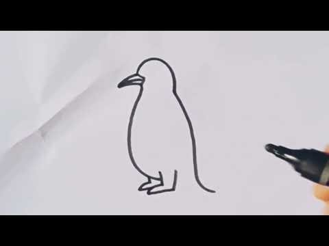 How to draw a penguin 🐧 easy step by step
