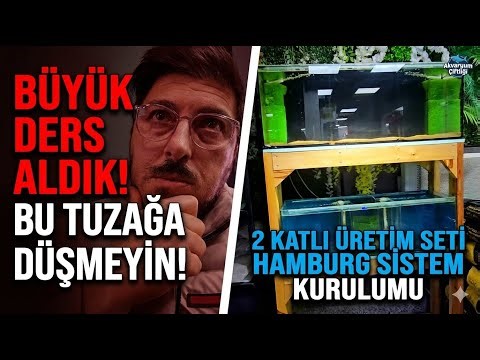 DON'T FALL FOR THIS TRAP WHEN BUYING FISH! ⚠️ New Tropheus Ikolas and New Set Setup