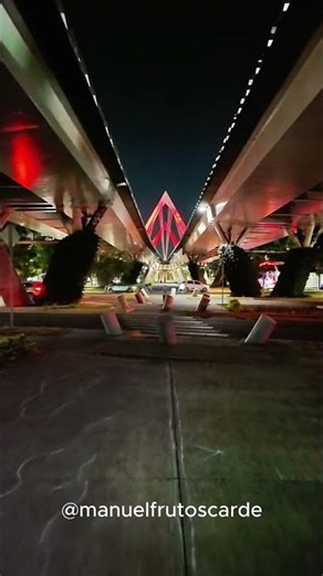 Did you know about the Matute Remus Bridge? It's a masterpiece!