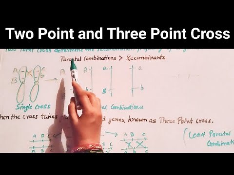 |Two Point and Three Point Cross|Genetics|Linkage|Gene Mapping|