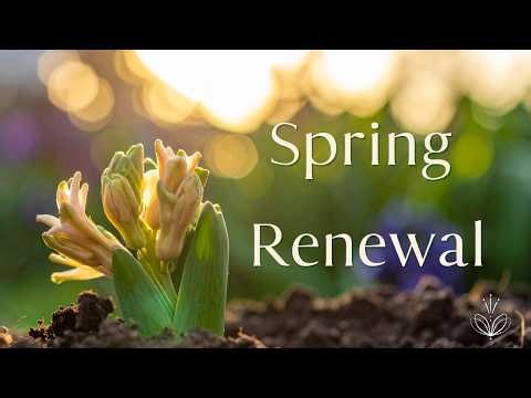 Spring Meditation for Renewal 🌱 Release the Old, Become the New