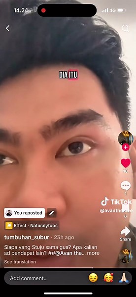 Apresiasi Terhadap Tumbuhan Subur