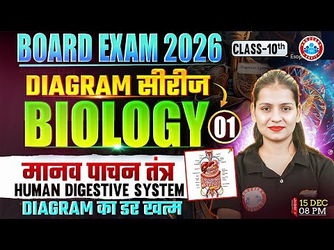 Class 10 Biology Diagrams | Human Digestive System Diagram | 10th Biology Diagram Series
