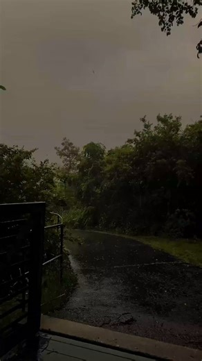 god i forget if i've already said this but i am SUUUCHHH a sucker for shit like thisit is SO just likepeaceful? idk. its really nice, and i just really fucking like it. like uriuguh pleeasee god let me get a home here where it rains like this a lot thats super nice n cozy PLZ