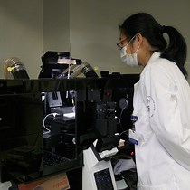 Video: An In Vitro Single-Molecule Imaging Assay for the Analysis of Cap-Dependent Translation Kinetics