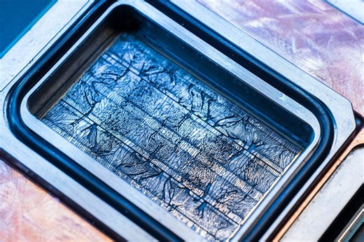 Microsoft、AIチップ冷却に「マイクロ流体」導入──シリコンに直接液体を流し効率3倍 | Ledge.ai