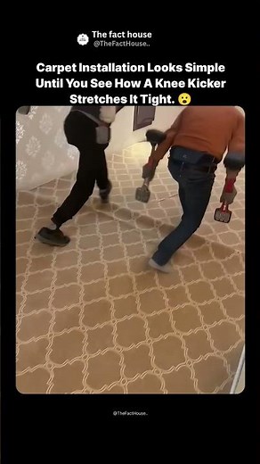 This Is How Pros Install Carpet