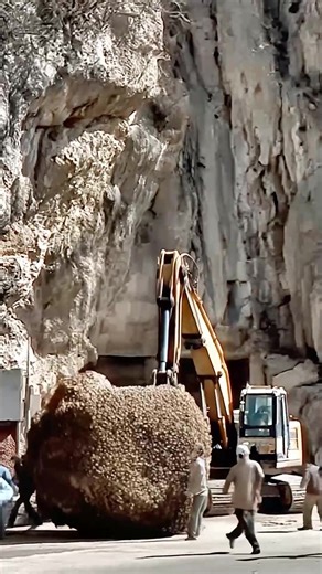 Excavator Vs Beehive! (AI) | Crafty Panda