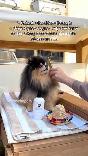 78K views · 2.2K reactions | The secret to Mocha’s everyday glow ✨...