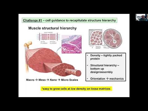 Dr. David Kaplan: Using tissue engineering to grow cultivated meat