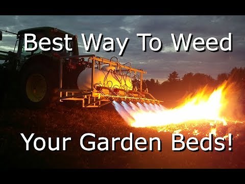 Flame Weeding: The Quick And Easy Way To Eliminate Weeds! Flame Weeder Review (How To)
