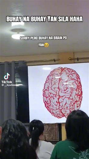 lan🫶 (@lander.caniedo)’s videos with original sound - lan🫶