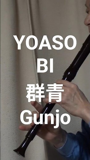 YOASOBI-群青 with アルトリコーダーで吹いてみた #群青 #yoasobi #recorder 💛
