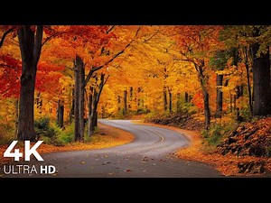 Beautiful Autumn Music 🍁 Calming The Soul With Gentle Tunes🍁4K Autumn Ambience & Fall Foliage