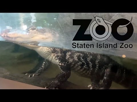 Staten Island Zoo - Full Day Tour