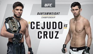 UFC 249: Henry Cejudo vs. Dominick Cruz recap video