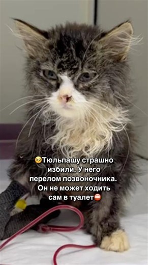 💔Please watch this video to the end. They worked really hard on this.😭