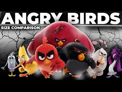 Angry Birds Size Comparison 3D | How Big Are the Birds?