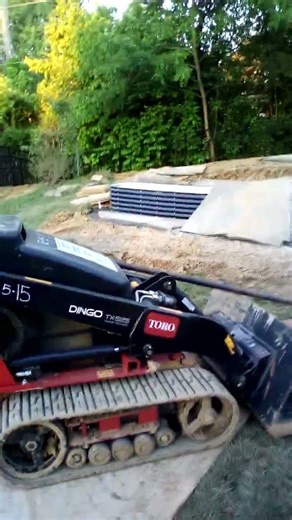 Someone destroyed my back yard part 3!