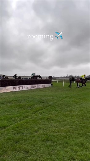 Jumping into the action ✈️ #lingfieldracecourse #horseracing #horse #foryoupage #fyp