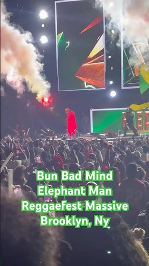 Bun Bad Mind | Elephant Man | Reggaefest Massive | Brooklyn, NY