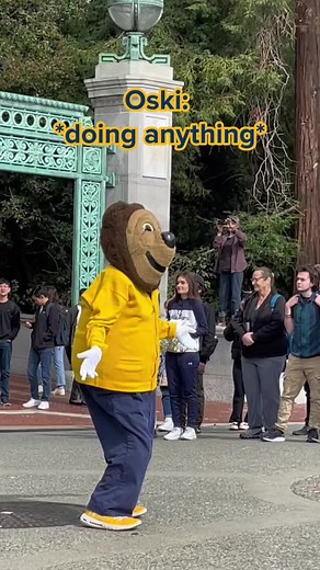 UC Berkeley College Mascot Oski the Bear