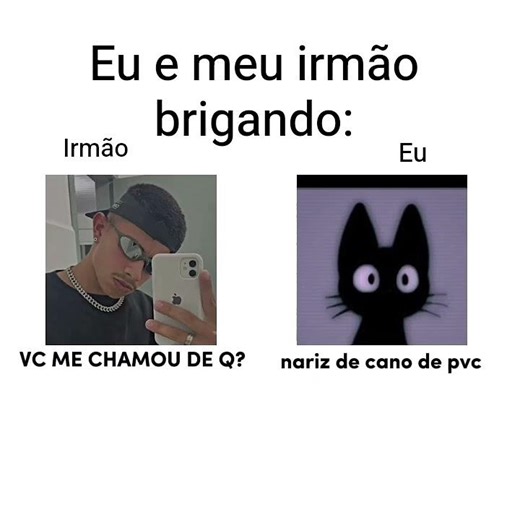 eu e meu irmão brigando