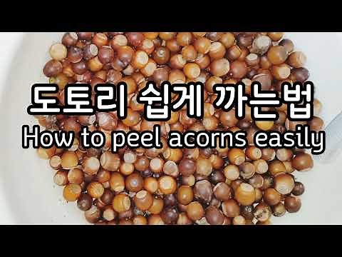 도토리 쉽게 까는법,How to peel acorns easily,도토리묵 만들기 korean side dish banchan