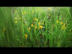 Baker Canyon Staging Area- Black Star Wilderness Park