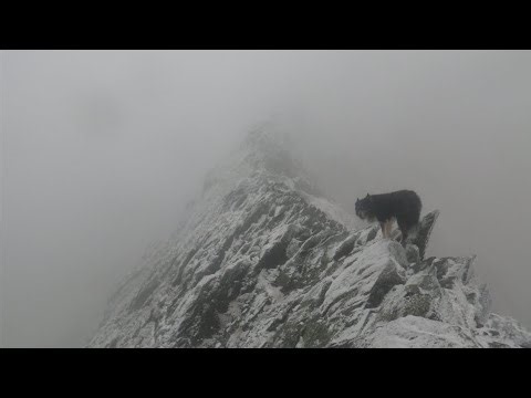Sharp Edge, Blencathra, February 12th 2026