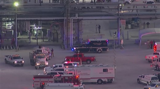 'Completely preventable mistake' | Federal report out on deadly chemical release at Deer Park refinery