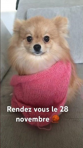 Et si on tricotait ce châle ensemble 🧶